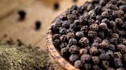 Black Pepper Suppliers in India - Alram Exports