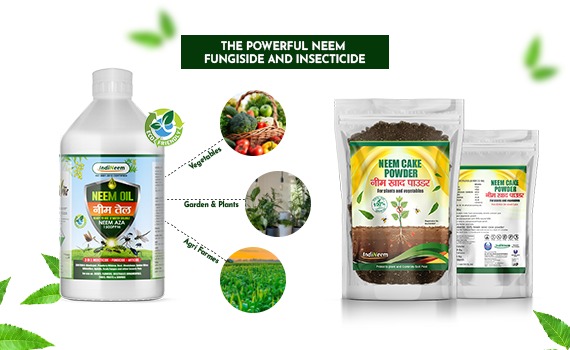 All You Need To Know About Best Organic Neem Fertilizers