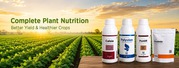 Water Soluble Fertilizers for Efficient Crop Nutrition